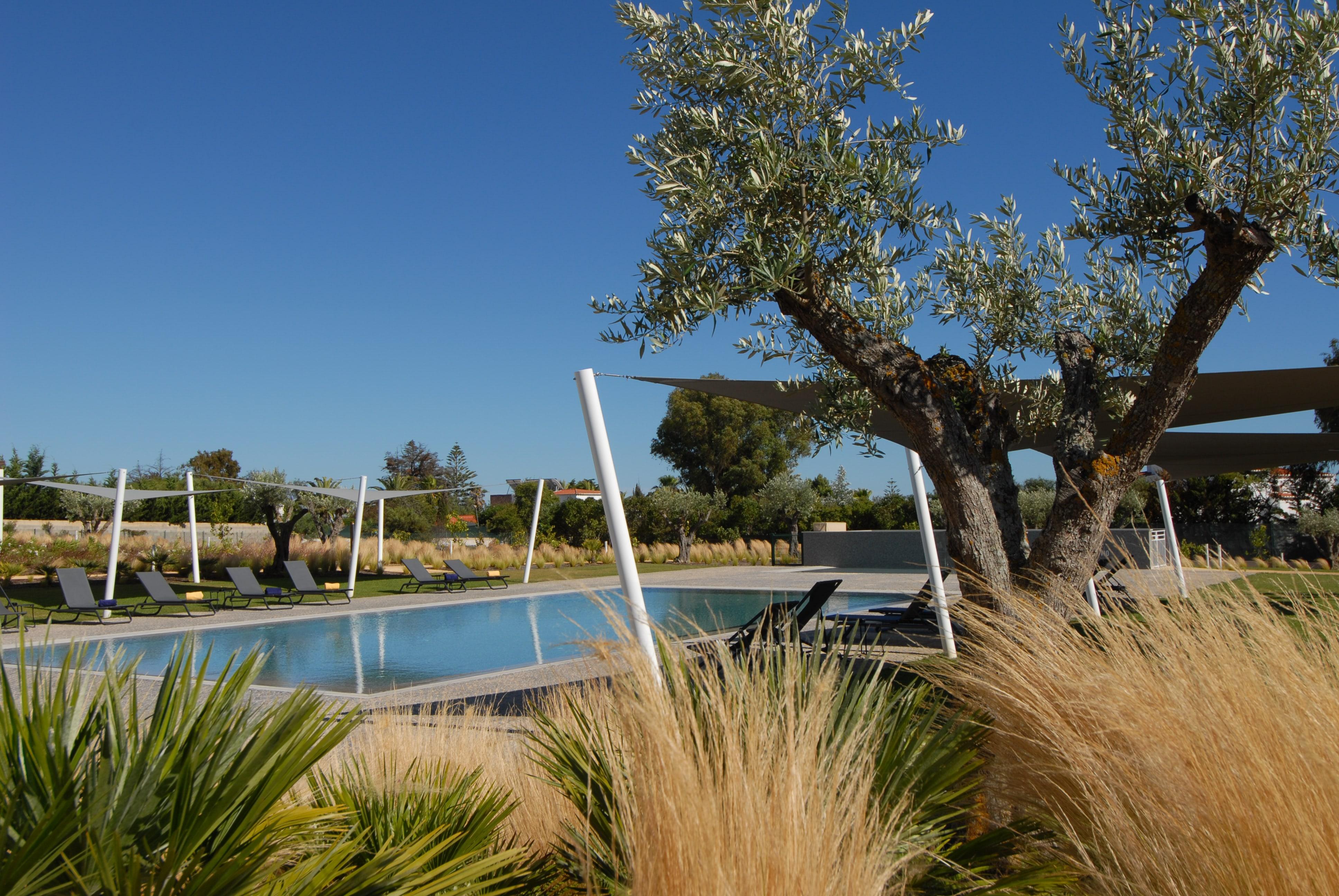 Quinta Do Algarvio Village Карвоейро Екстериор снимка