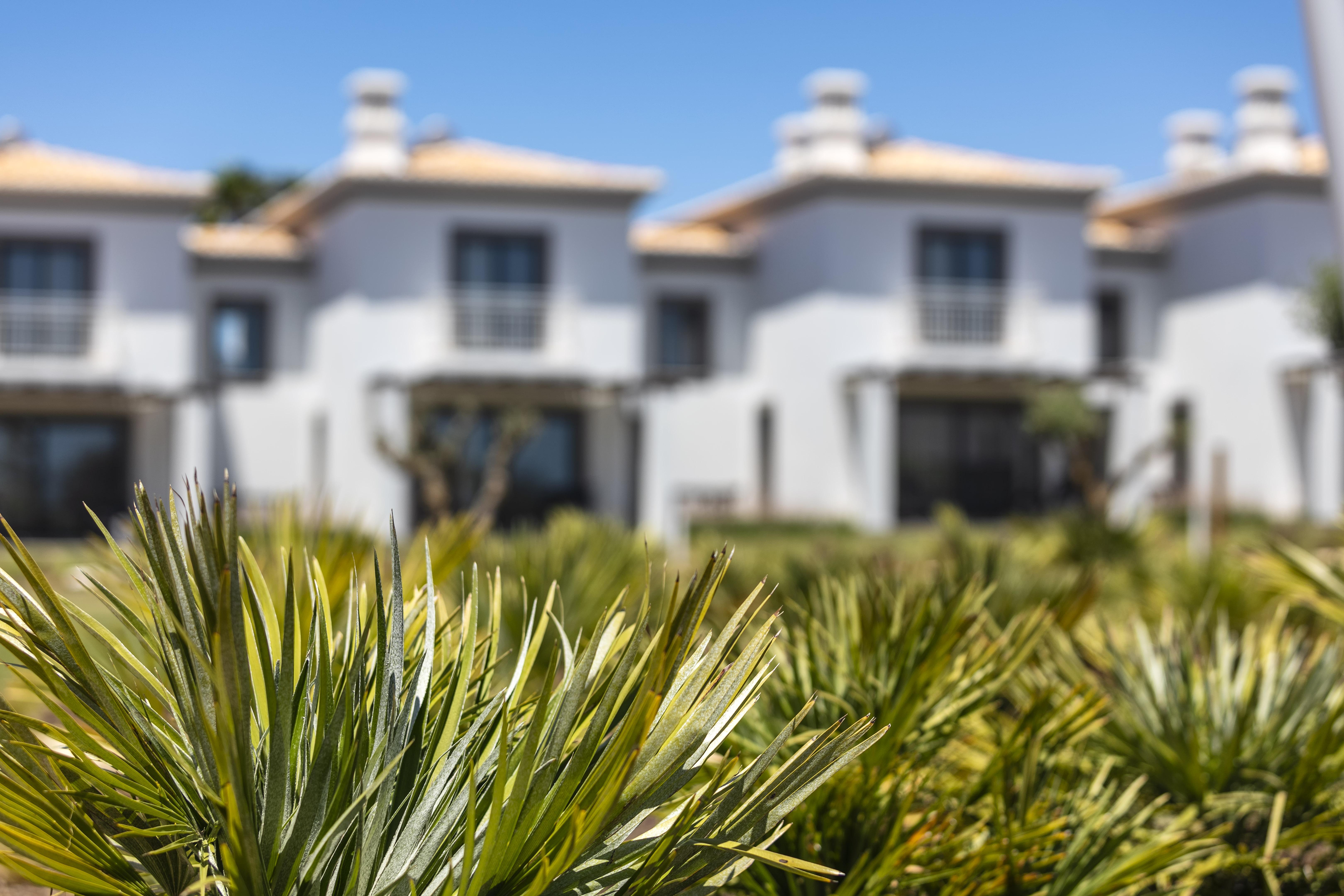 Quinta Do Algarvio Village Карвоейро Екстериор снимка