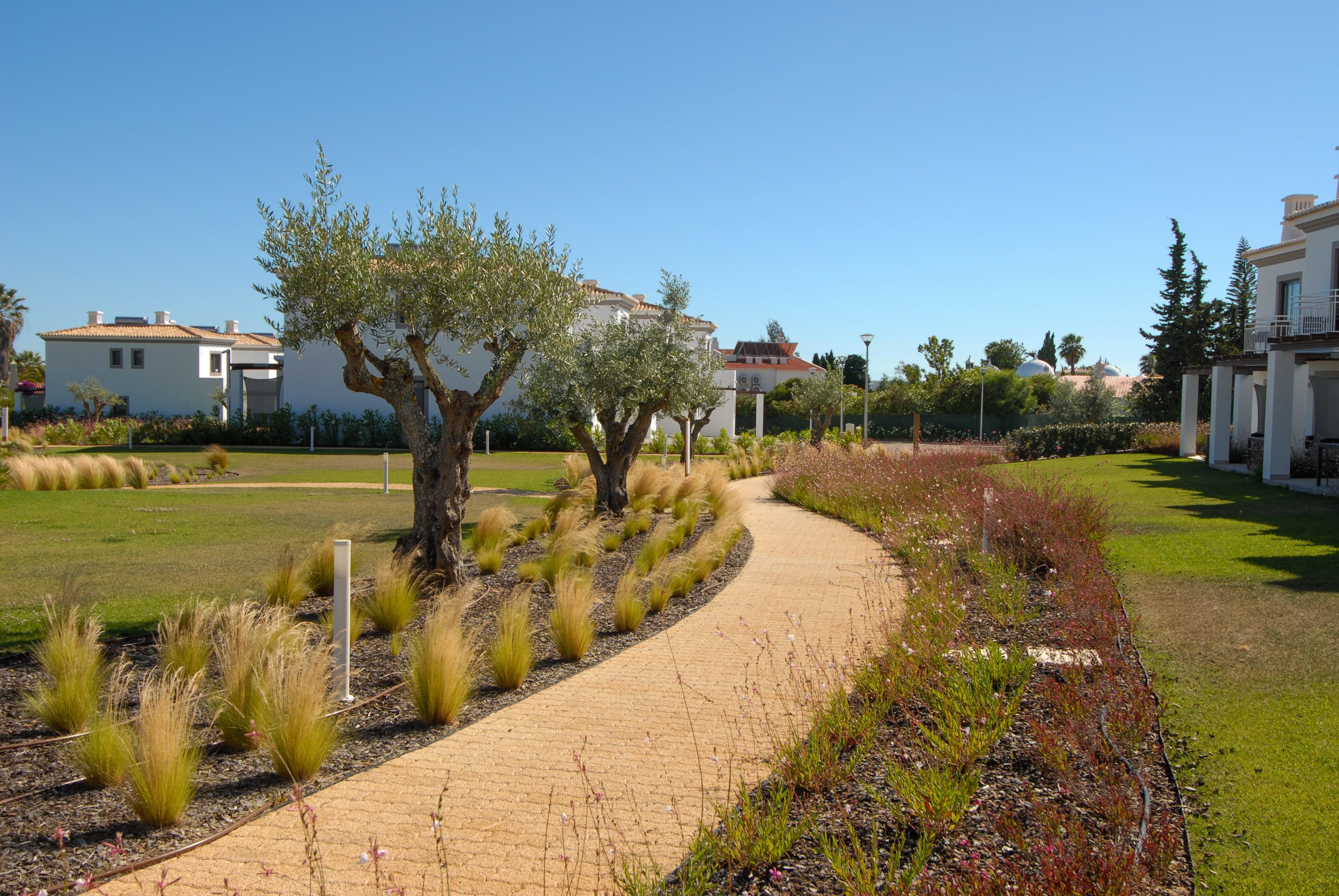 Quinta Do Algarvio Village Карвоейро Екстериор снимка